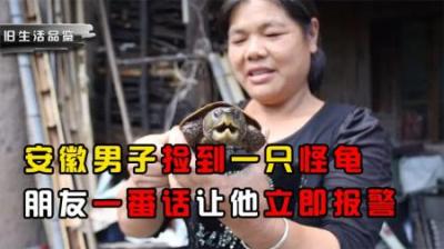安徽一男子捡到“怪龟”，好友看到后报警，专家：它身份不简单！