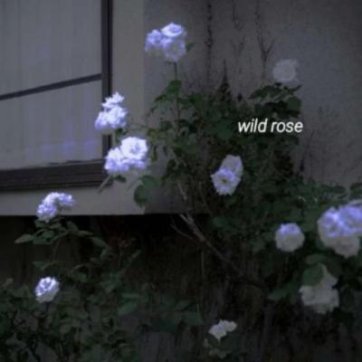 【伤感】酒吧喊麦经典语录歌词（酒吧喊麦词简单中文）