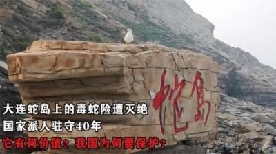 大连蛇岛上的毒蛇险遭灭绝，国家派人驻守40年，为何我国要保护？