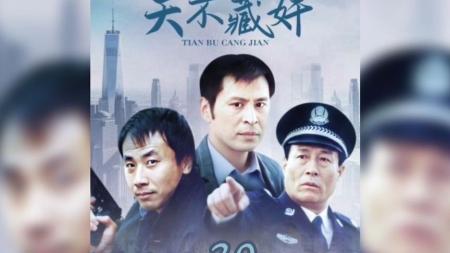 经典老剧《天不藏奸》_2