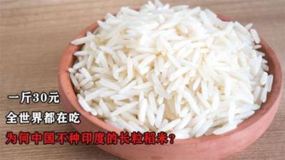 一斤30元！全球都在吃，为何中国不大规模种印度泰国的长粒稻米？