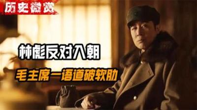 林彪反对出兵朝鲜，受到周恩来严厉批评，毛主席一语道出其弱点！