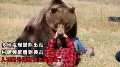 多地发现黑熊出没，村民频繁遭到袭击，人在野外遇到该如何保命？