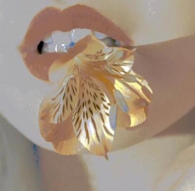 【爱情】情话文案馆今天文案（情话文案馆短句高质量公众号）