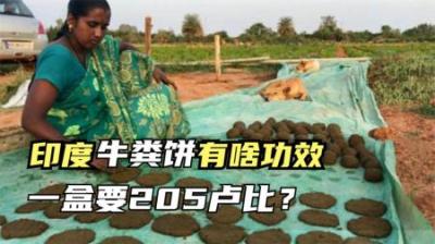 印度“牛粪饼”常卖到脱销，它有何作用？引进中国销量会怎样？