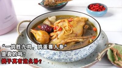 老话说“一鸽胜九鸡，鸽蛋赛人参”，是真的吗？鸽子真有这么补？