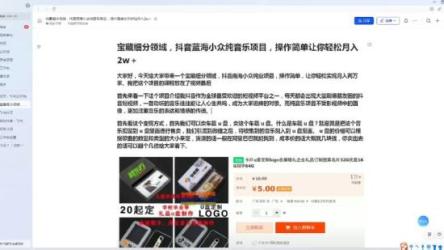 蓝海小众纯音乐项目，细分领域，让你轻松月入2w