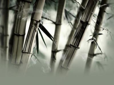 【正能量】人间正能量格言（体现人间温暖正能量的句子）