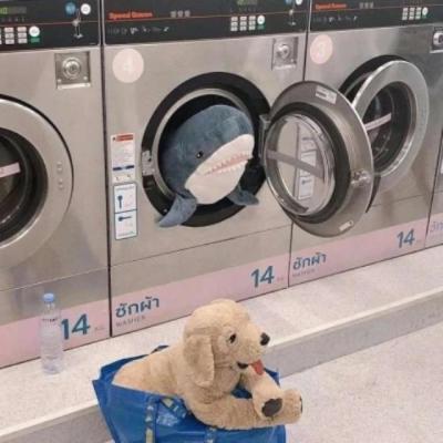 【经典】照片怎么发朋友圈文案学生（照片怎么发微信朋友圈）