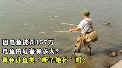 因电鱼被罚157万，电鱼的危害有多大？真会让鱼类“断子绝孙”？