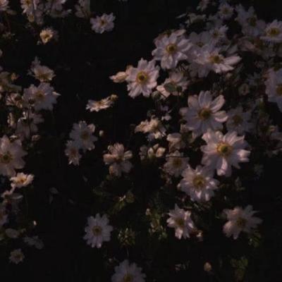 【哲理】烦人的村民名言英语（关于社区的英文名言）