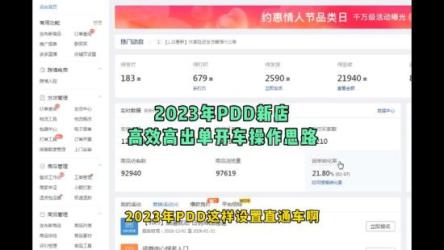 2023拼多多电商项目，出单快，稳定一天300-3000+