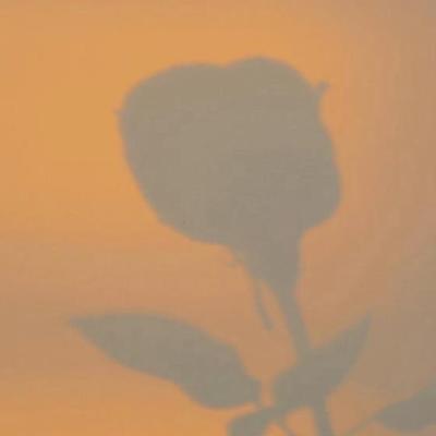 【正能量】对灾难慰问的句子英语（关于灾难中生存的英语对话）