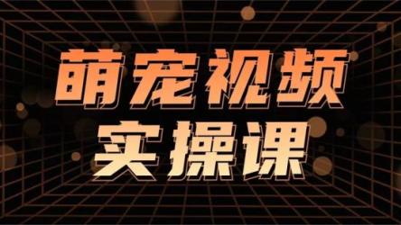 萌宠·短视频运营实战课：萌宠好物带货0基础到进阶