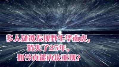 多人疑似发现野生华南虎，消失了25年，如今真能再次重现？