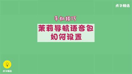 地图导航高阶定制茉莉13个语音包，附安装教程。