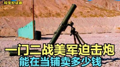 一战德国中型堑壕迫击炮，到底能卖多少钱，老板转手就小赚一笔钱