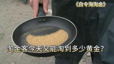 如果在白令海，一天淘不到几百上千克黄金，那吃饭只配坐小孩桌