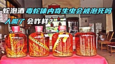把蛇泡到酒里，蛇体内的寄生虫会被酒泡死吗？人喝了会被感染吗？