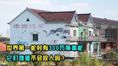 世界第一蛇村在浙江，300万条毒蛇出没家中，难道不会咬村民吗？