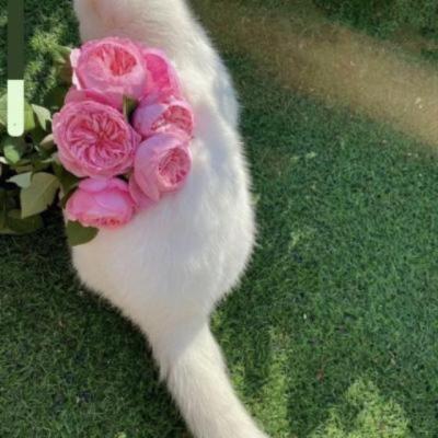 【感悟】孩子叛逆家长心情感悟怎么写简短（孩子叛逆家长的心情）