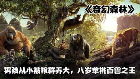 小男孩被狼养大，8岁徒手灭老虎！奇幻片《奇幻森林》
