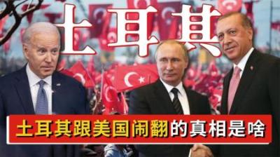 土耳其和美国的恩怨情仇：从亲美走向亲俄，居然跟普京有大关系