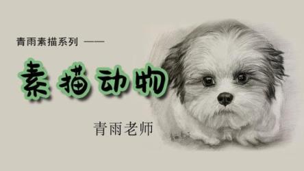 零基础素描绘画课程合集视频教程