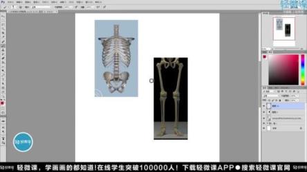 《超级漫画素描技法》全28本PDF版套装电子书打包