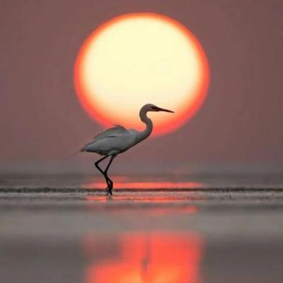 【感悟】城南旧事前60页的感悟（城南旧事感悟简短）