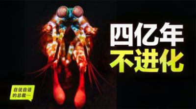 全身黑科技，活了4亿年都没进化，能一拳打爆玻璃，堪称外星机甲