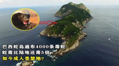 巴西蛇岛遍布4000条毒蛇，蛇毒比陆地还毒5倍，如今成人类禁地？