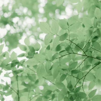 【励志】挑战减肥励志视频（减肥励志视频魔鬼身材）