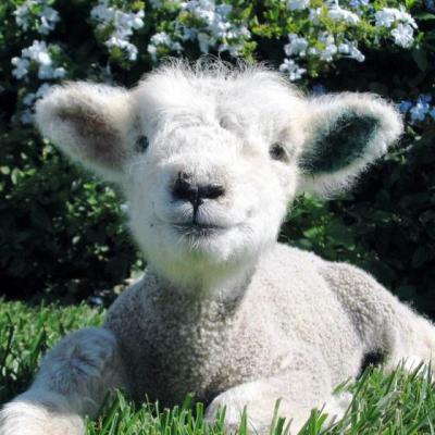 【爱情】文案短句爱情带字（爱情文案霸气简短）