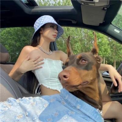 【哲理】西游小故事感悟（关于西游的故事简短）