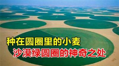 阿拉伯人的麦子要种在圆圈里，种圈外就颗粒无收，其中有何秘密？