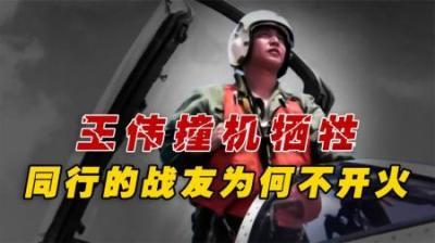 2001年中美南海撞机，战友赵宇目睹王伟牺牲过程，为何不开炮还击