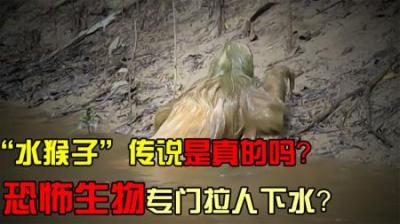 传闻中的“水猴子”，长相呆萌行动慢，为何50%都死在拉屎路上？