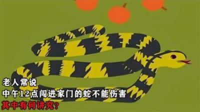 老人说“中午12点闯进家门的蛇，千万不能伤害”，其中有何讲究？