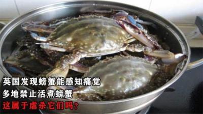 英国发现螃蟹能感知痛觉，多地禁止活煮螃蟹，这属于虐杀它们吗？