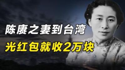 陈赓的妻子去台湾，十几辆车到机场迎接，光红包就收了两万多块！