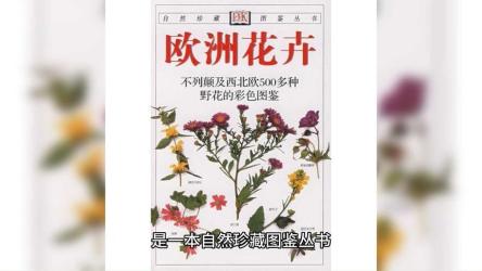 自然珍藏图鉴丛书