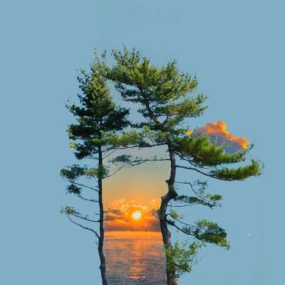 【感悟】别人发一些哲理感悟怎么回复（别人评论人生感悟该怎么回复）