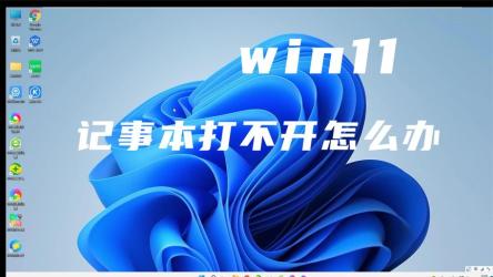 软件合集【安卓】【WIN】