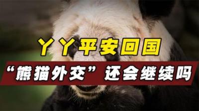 丫丫完成使命回国，中国的“熊猫外交”是否还会继续？
