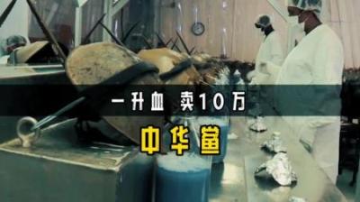 4亿年生物被人“疯狂抽血”，1升能卖10万，我国每年急需20万只？