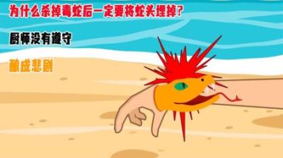 为何宰杀毒蛇后，一定要把蛇头埋掉？厨师没遵守，最后酿成悲剧