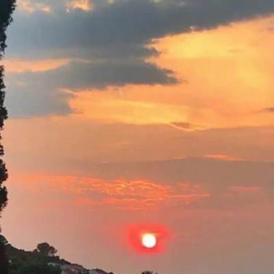 【唯美】思念故乡的作文句子（思念故乡优秀作文）