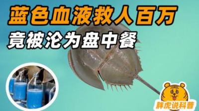 它存活了4亿年，靠蓝色血液拯救亿万人，为何仍被人类吃到灭绝？