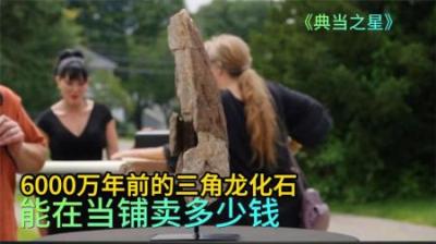 6000万年前的三角龙化石，能在当铺卖多少钱，老板强势半价拿下！